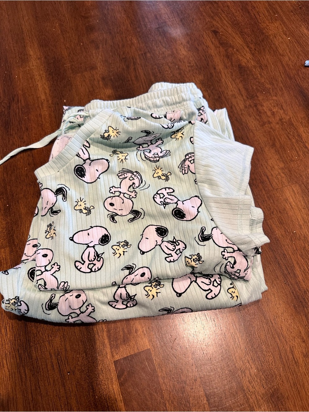 Peanuts Snoopy & Woodstock Womens Pajama Set - Light Mint with White Print Cute